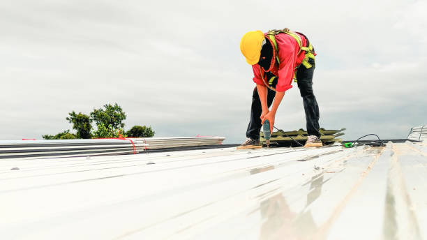 Best Rubber Roofing (EPDM, TPO)  in Young Harris, GA